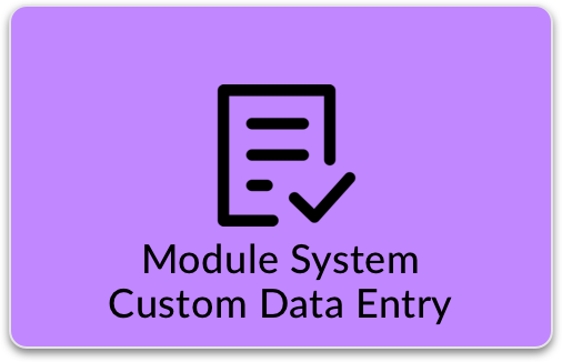 Module System